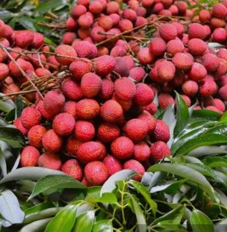 Fresh Fruits
