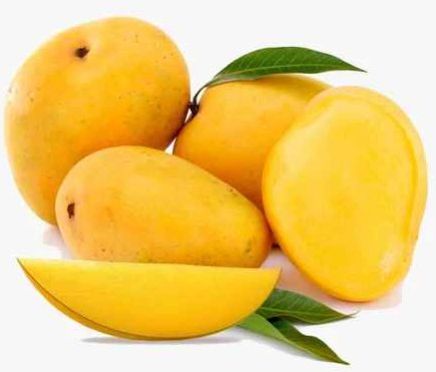 Fresh Alphonso Mango