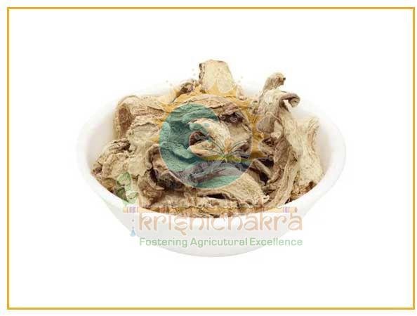 Brown Dehydrated Ginger Flakes