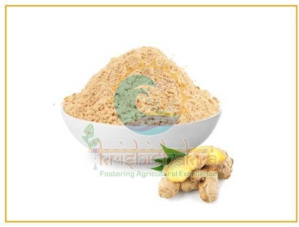 Cream Dehydrated Ginger Powder