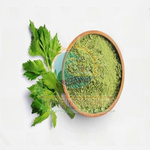 Dehydrated Coriander Leaves Powder