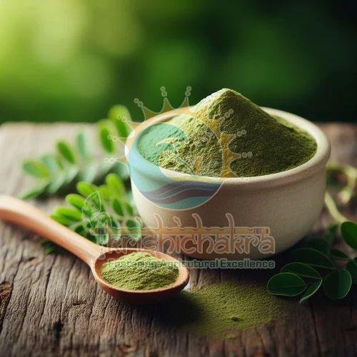 Dehydrated Moringa Powder