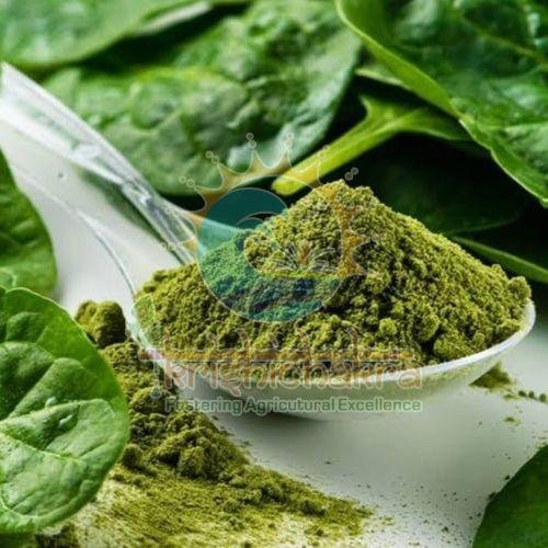 Dehydrated Spinach Leaves Powder
