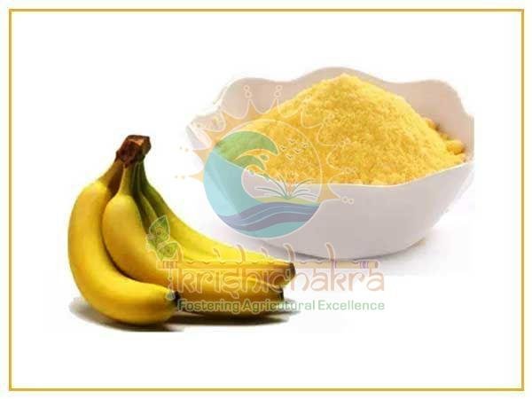 Natural Dehydrated Dried Banana Powder