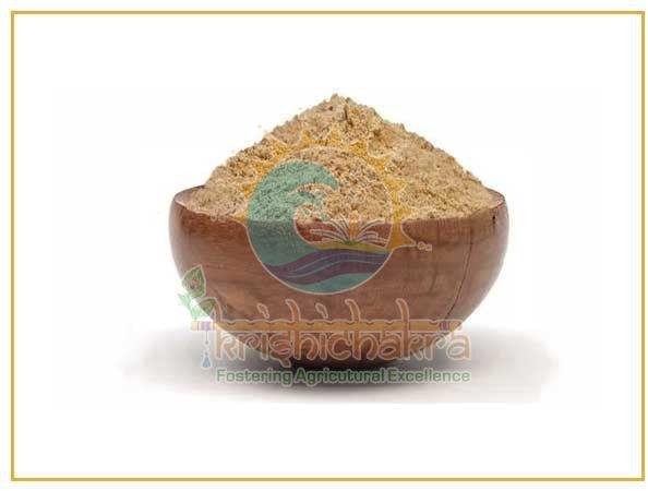 Natural Dehydrated Garlic Powder