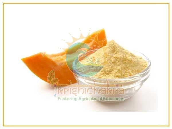 Natural Dehydrated Papaya Powder