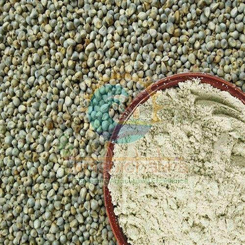 Sprouted Bajra Flour