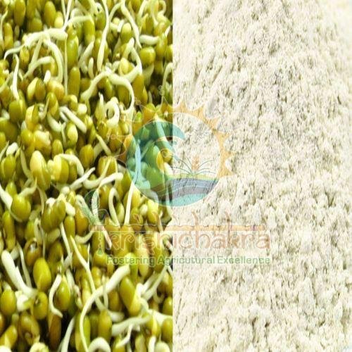 Sprouted Moong Flour