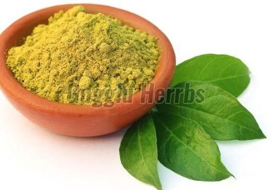 Curry Leaf Powder