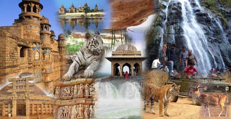Madhya Pradesh Tour Packages Service