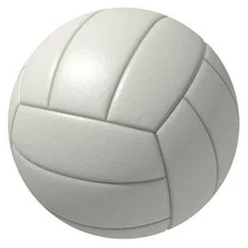 Soft Leather Volleyball