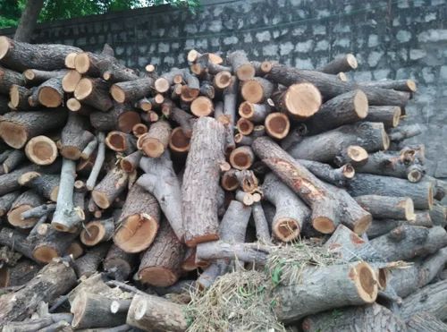 Tamarind Wood Logs