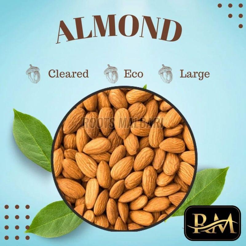 Almond Nuts