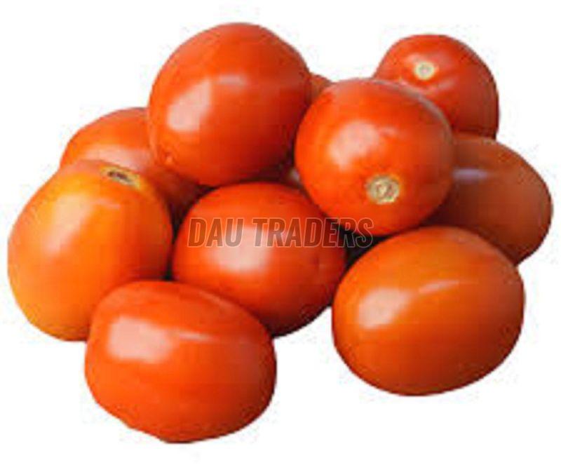 Fresh Red Tomato