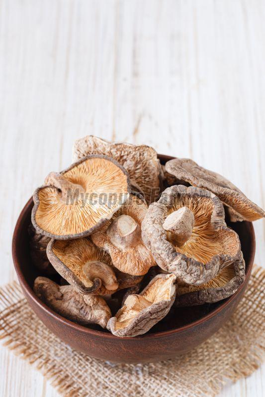 Dried Oyster Mushroom