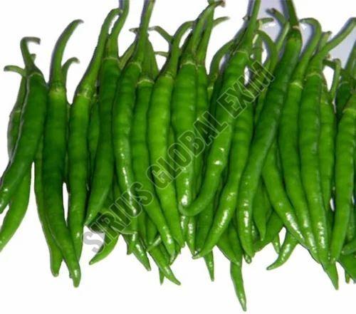 G4 Hybrid Green Chilli