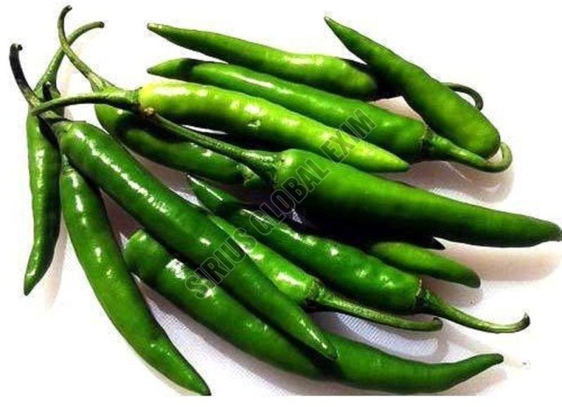 Organic Green Chilli