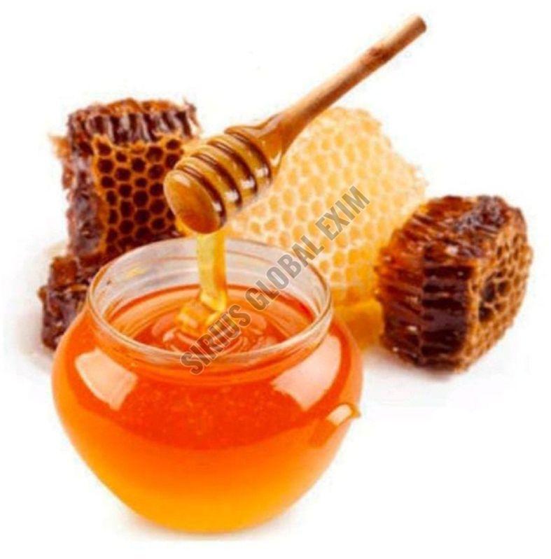Raw Forest Honey