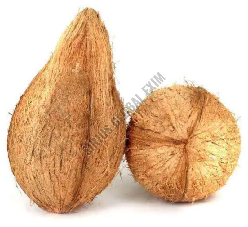 Semi Husked Fresh Coconut