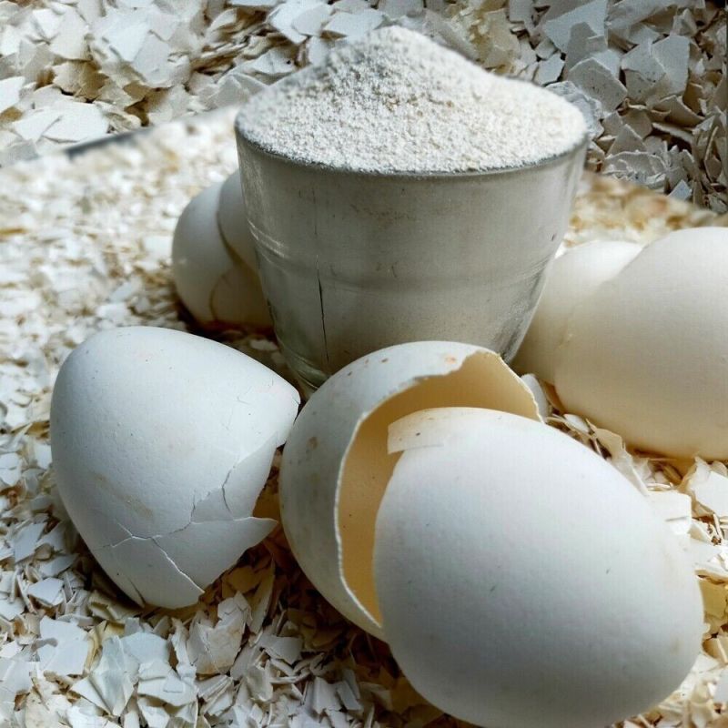White Eggshell Powder