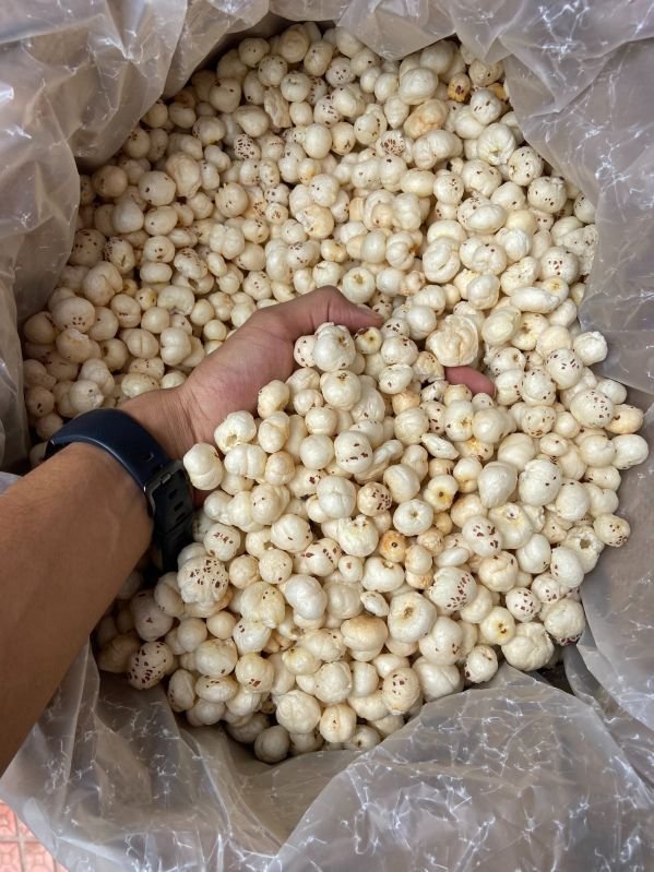 5 Suta Plus Phool Makhana