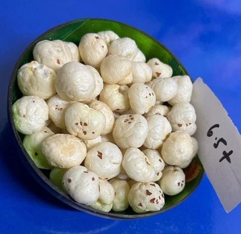 6 Suta Plus Phool Makhana