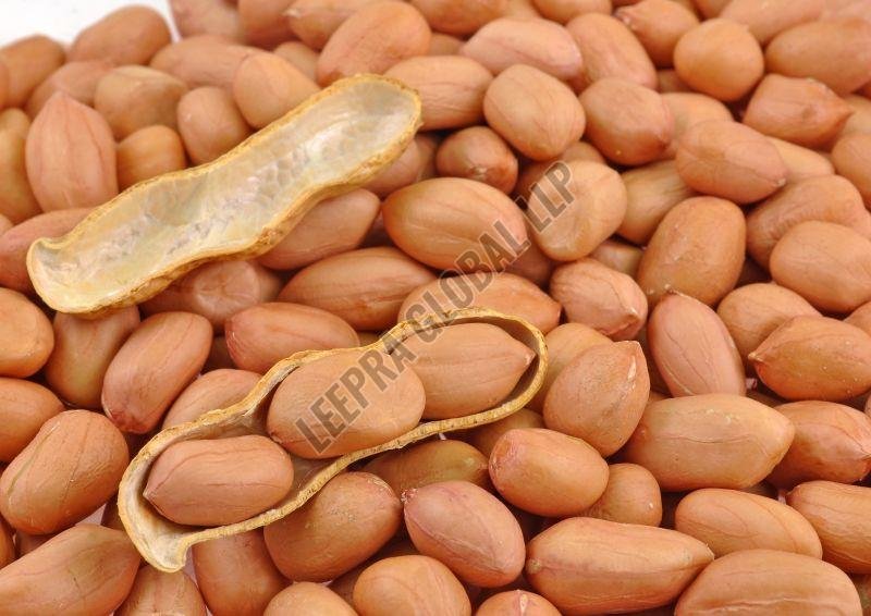 Bold Groundnut Seeds