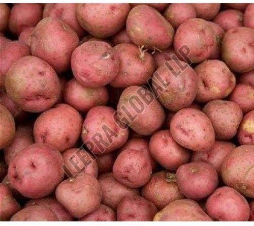 Farm Potato
