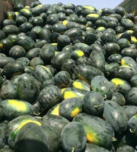 Fresh Sugar King Watermelon