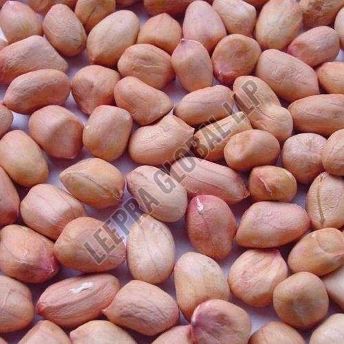 Java Groundnut Seeds