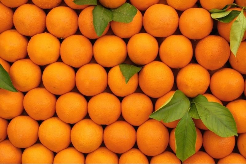 A Grade Fresh Orange