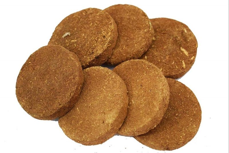 Desi HF Cow Dung Cake