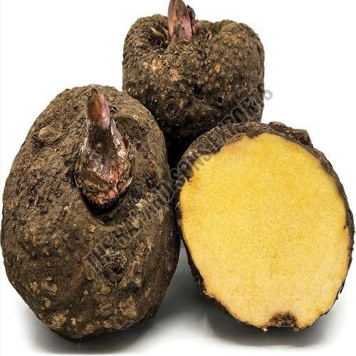 Fresh Elephant Foot Yam