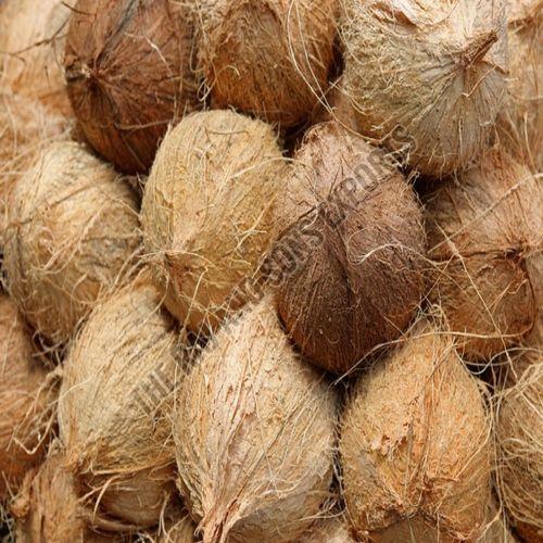 Semi Husked Coconut