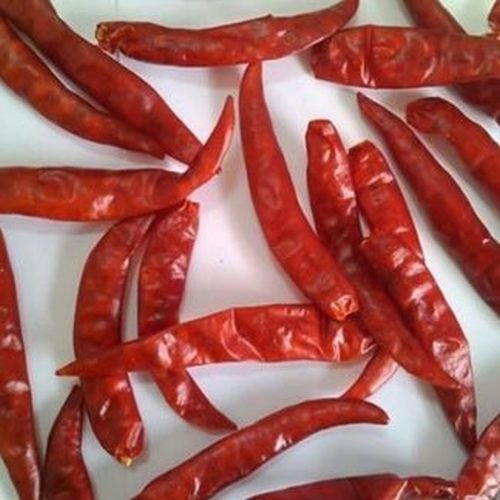 Teja S17 Dried Red Chilli
