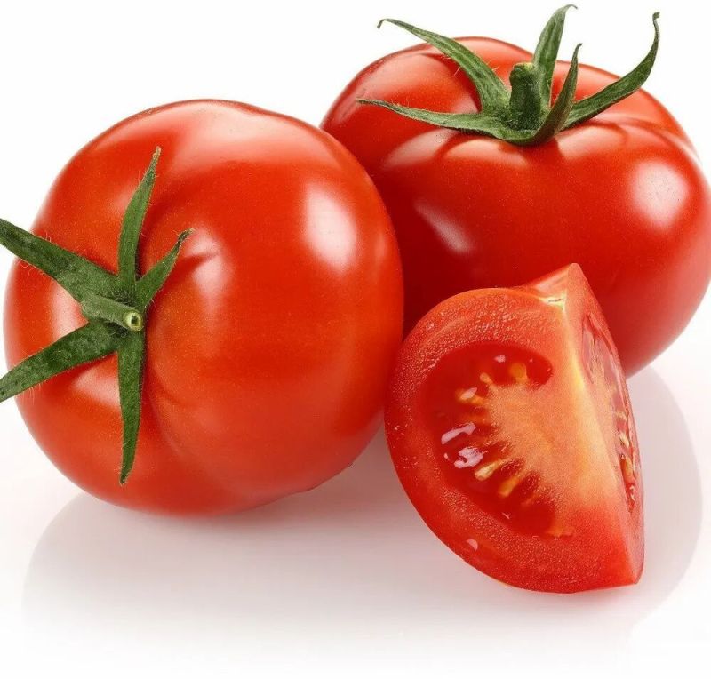 A Grade Red Tomato