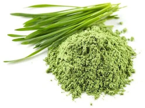 wheat grass powder