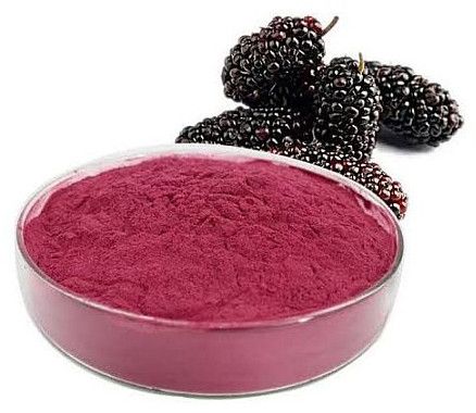 Spray Dried Mulberry Powder