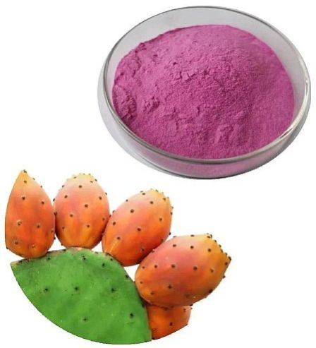 Spray Dried Prickly Pear Powder