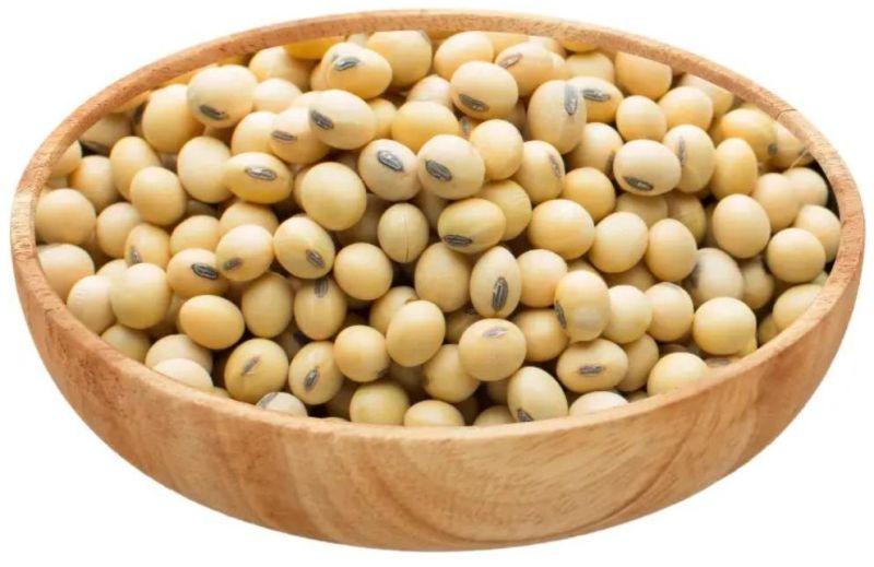 Soybean Seeds