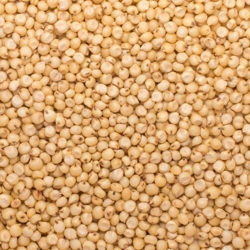 A Grade Organic Sorghum Millet