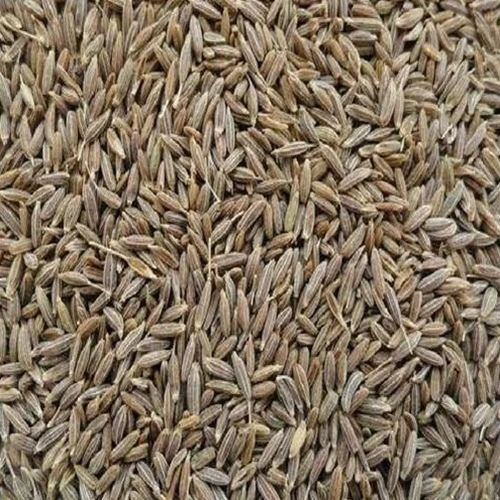 Singapore Quality Cumin Seeds