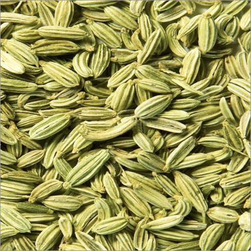 Singapore Quality Fennel Seeds