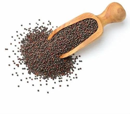 Small Mustard Seeds