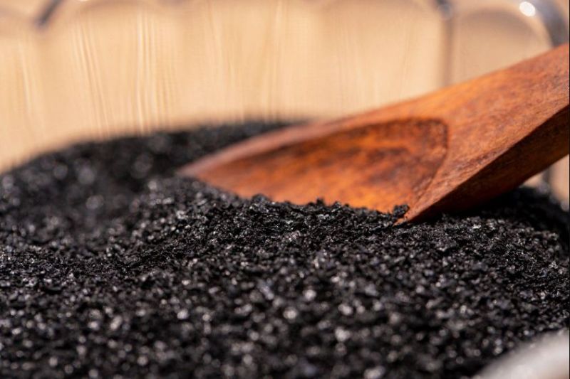 Black Humic Acid Powder