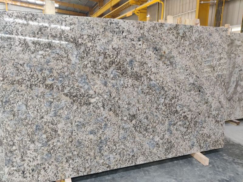 Blue Flower Granite Slab