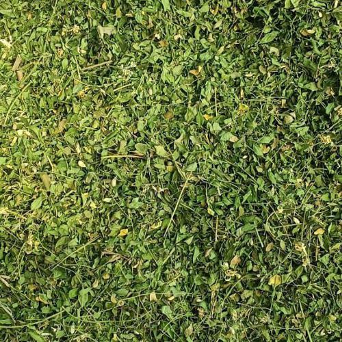 Dried Moringa Leaves