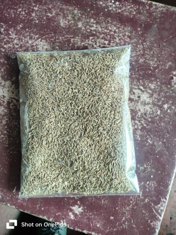 Cumin Seeds