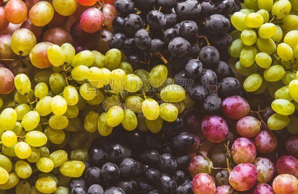 Fresh Grapes