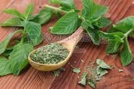 Green Dehydrated Mint Leaf
